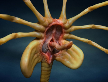 HCG Exclusive Aliens Facehugger