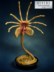 HCG Exclusive Aliens Facehugger