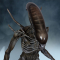 HCG Exclusive Alien Covenant Xenomorph